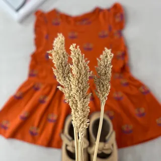 بلوز پیراهن برند نکست