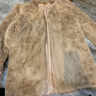 پالتو تدی وارداتی