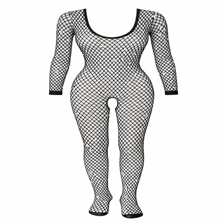 فول بادی تور ماهی نگیندار