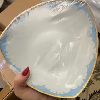 سرویس چینی پردیس 50 پارچه