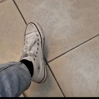 الستارا سفید