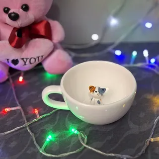 ماگ سوپرایزی