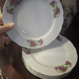 6 عدد پیشدستی گل سرخ ژاپن