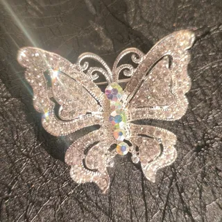 گل سینه پروانه مجلسی