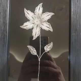 قاب گل نقره