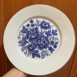 بشقاب دیوار کوب