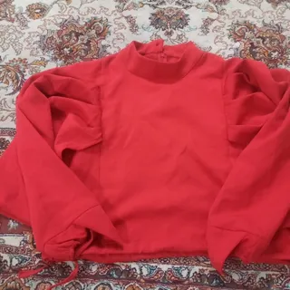 شومیزمجلسی