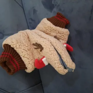 پاپوش برند پنتی