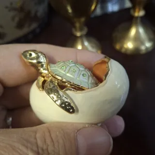 جاجواهری لاک پشت