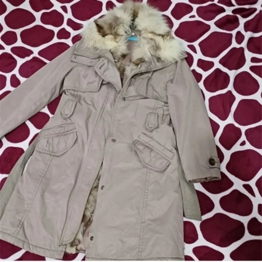 پالتو وارداتی