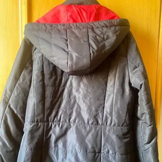 بارونی آستردار