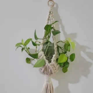 اویز گلدان مکروه