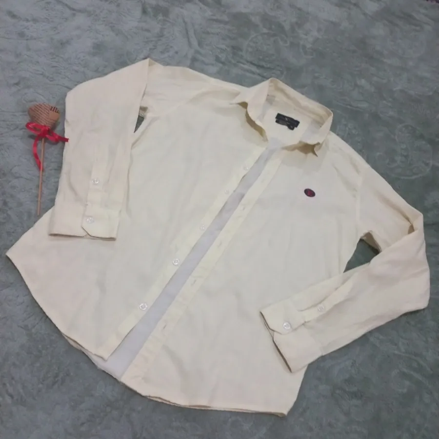 بلوز مردانه