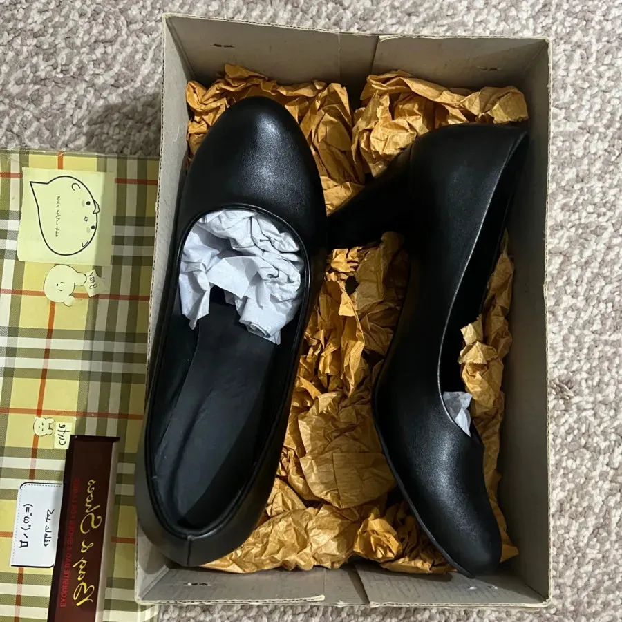 کفش مجلسی چرم