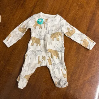 سرهمی کارترز