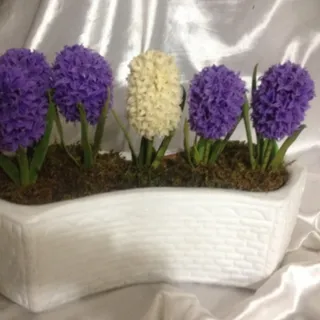 گلدان سنبل 7 سین