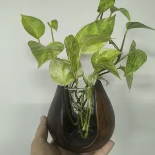 گلجا طرح چوب