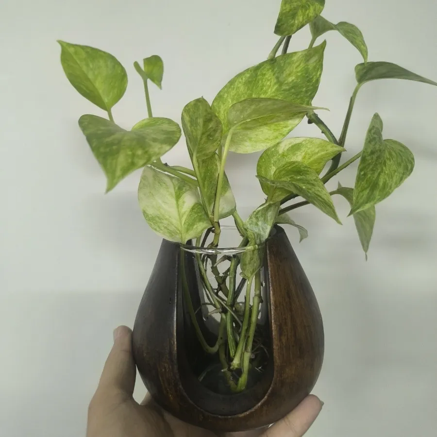 گلجا طرح چوب