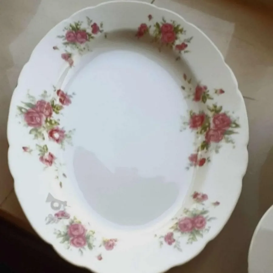 دیس گل سرخی ژاپن