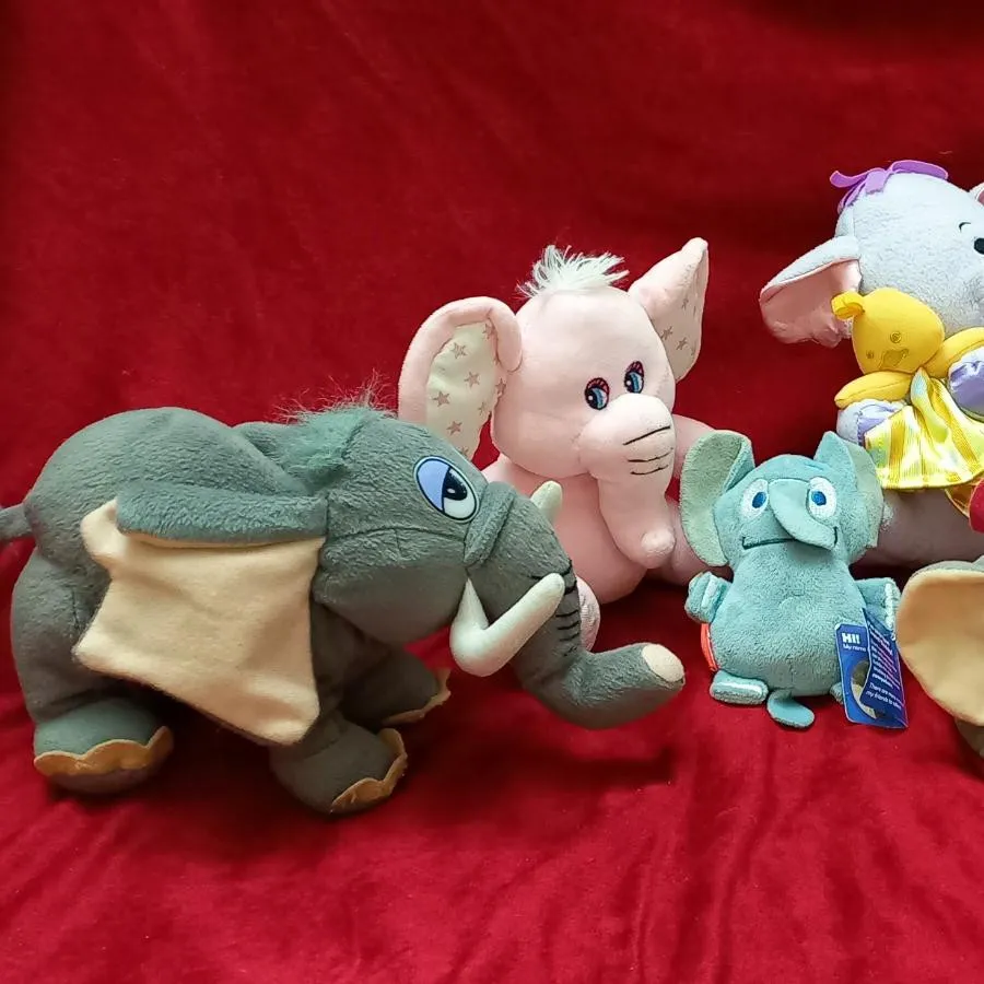 فیل های زیبا