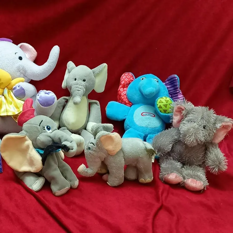 فیل های زیبا