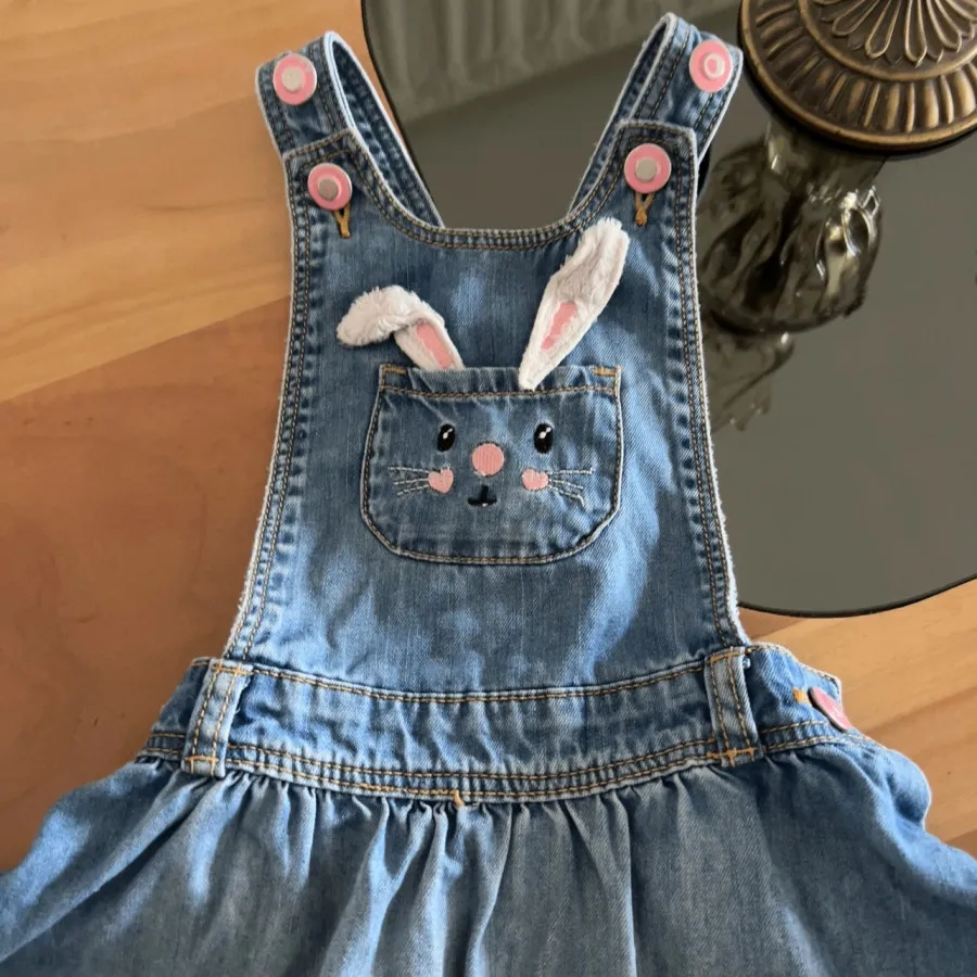 سارافون جین ال سی