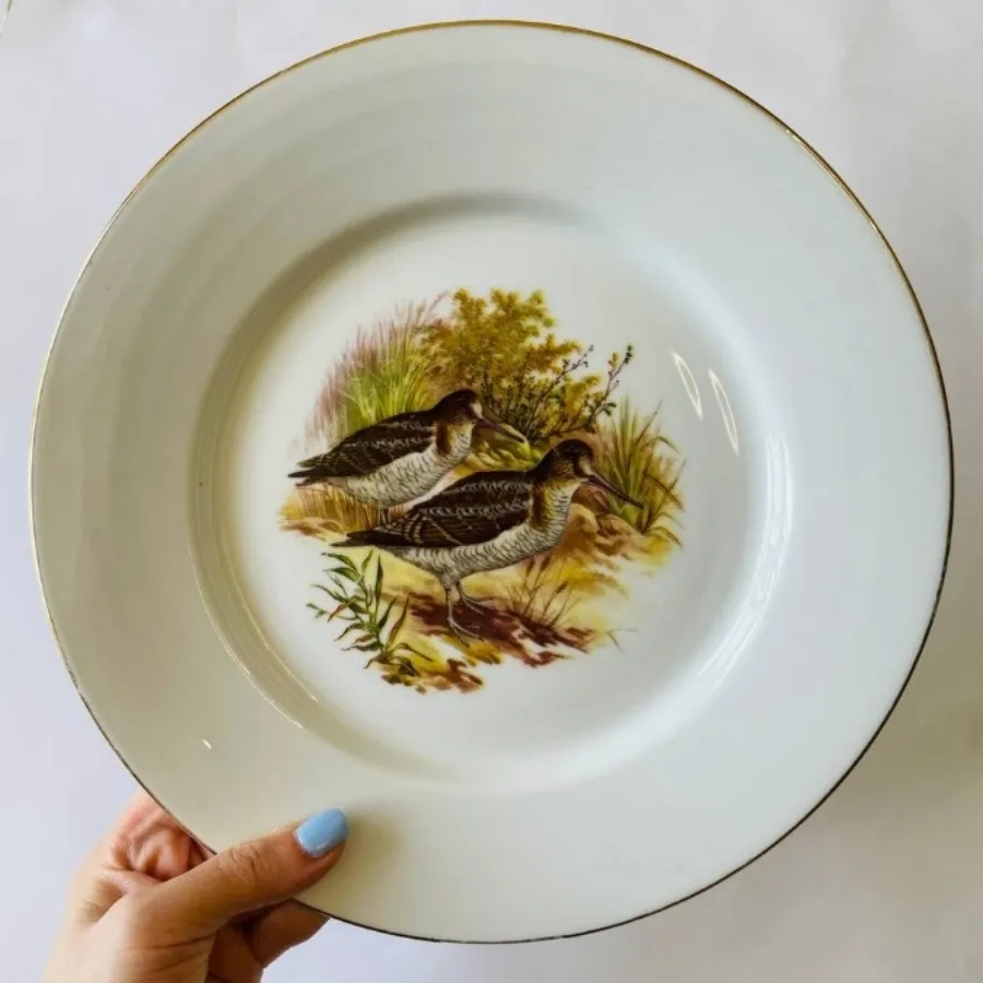 بشقاب قدیمی طرح پرنده