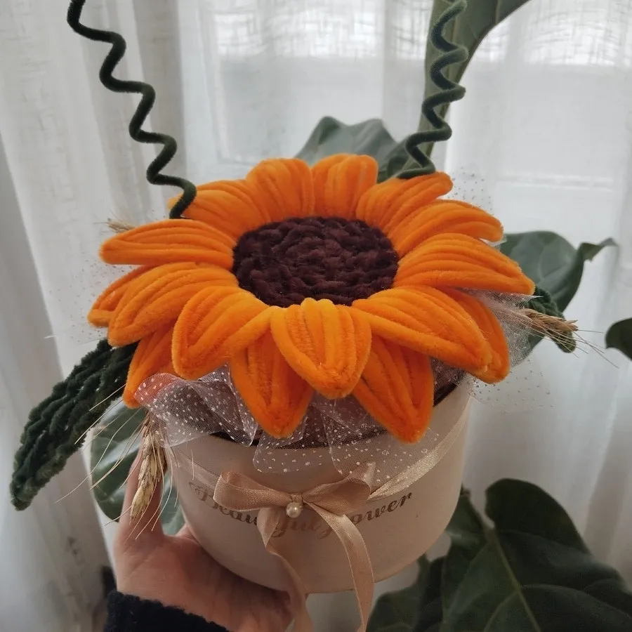 باکس آفتابگردون