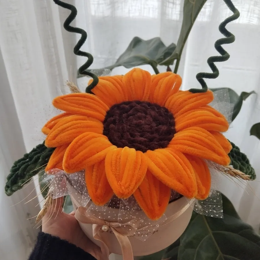 باکس آفتابگردون