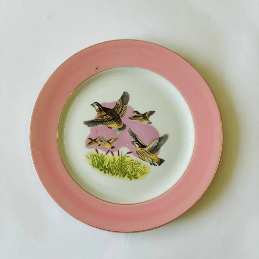 بشقاب فلامینگو و پرستو