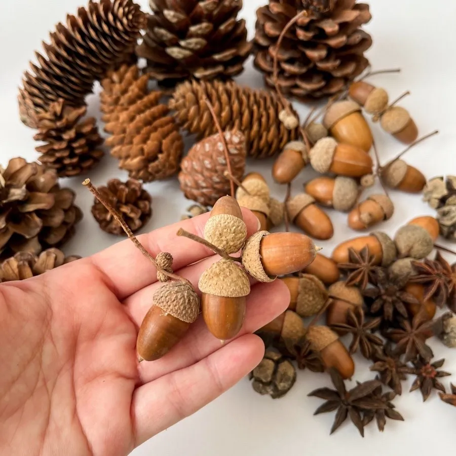 میوه خشک تزیینی