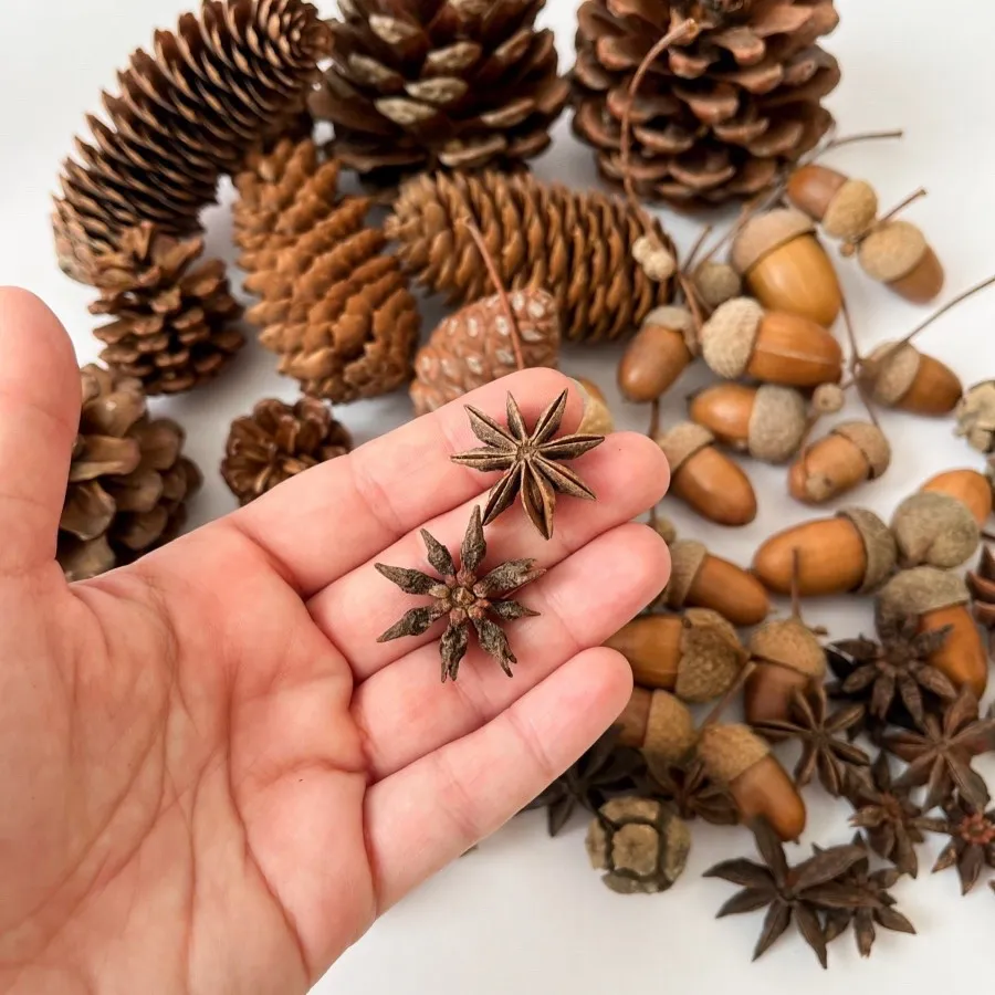 میوه خشک تزیینی