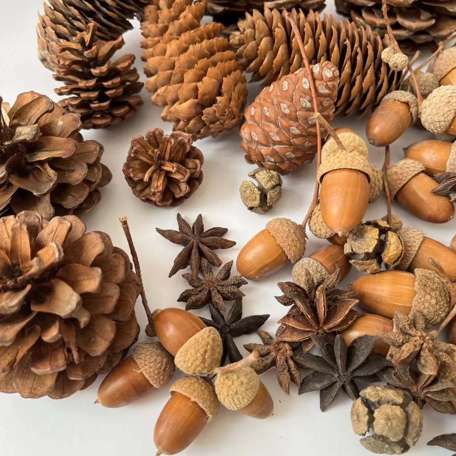 میوه خشک تزیینی