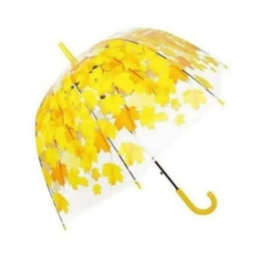 چتر برگ پاییزی