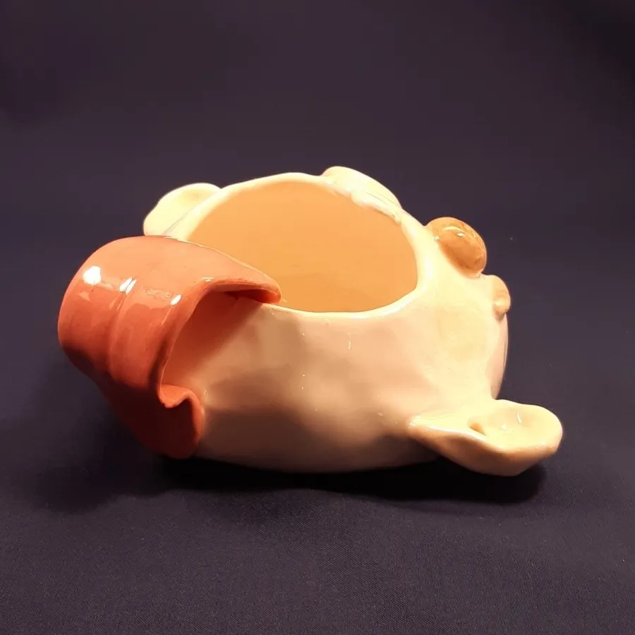 کاسه پسر زبون دراز