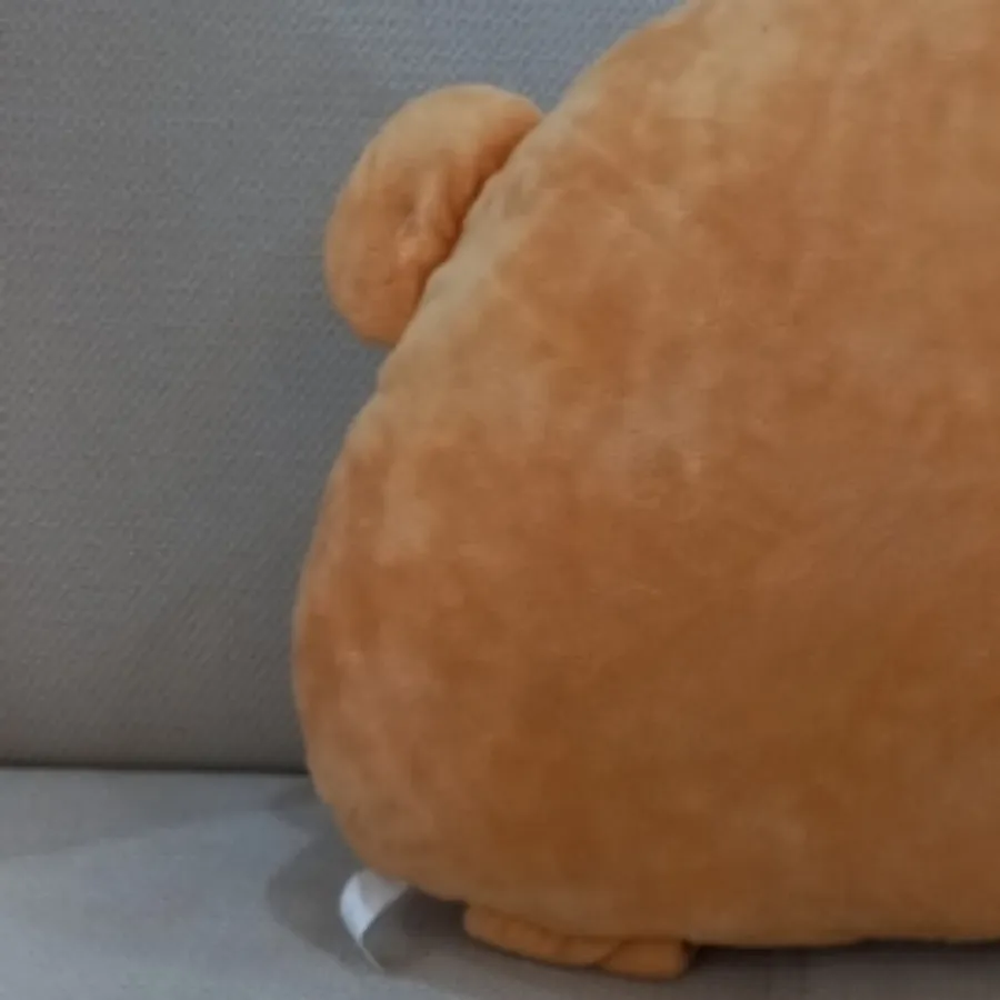 کوسن میمونی