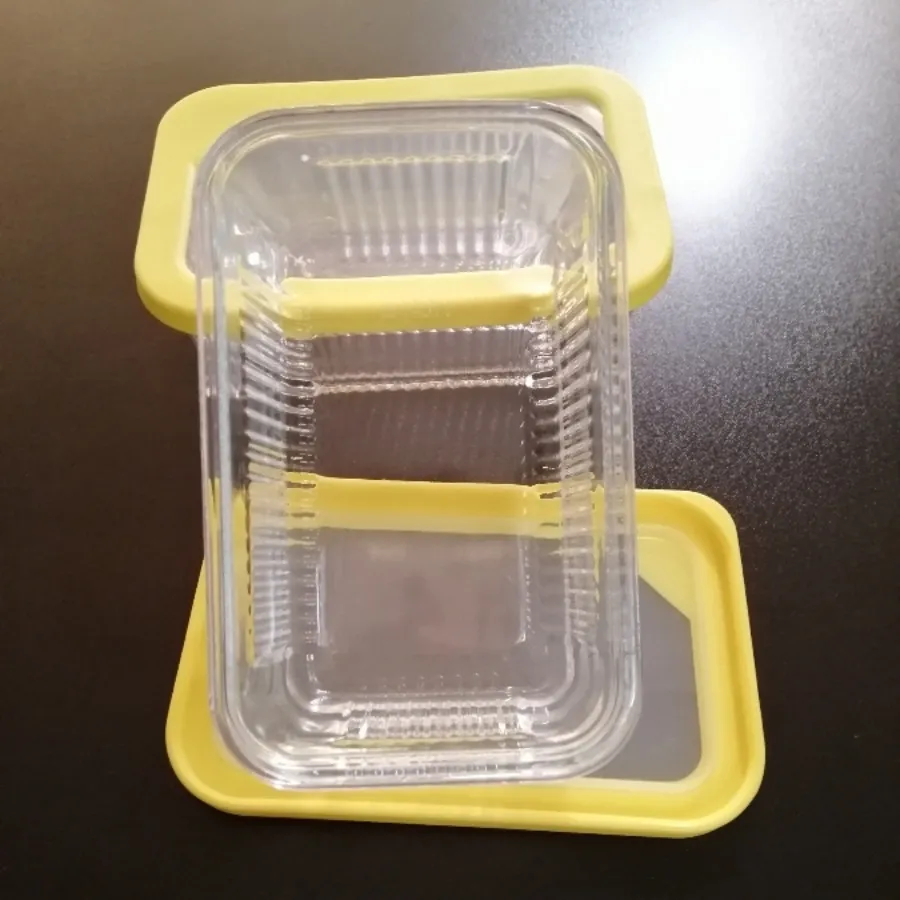 ظرف نگهدارنده