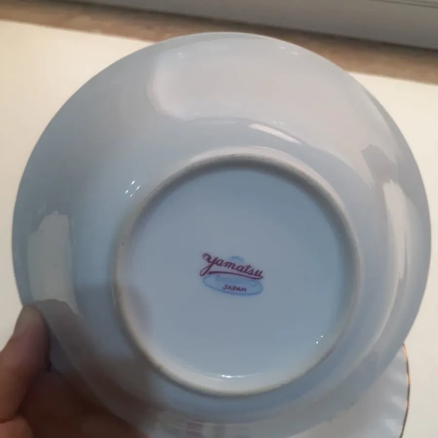 کاسه آبگوشت ژاپنی یاماتسو