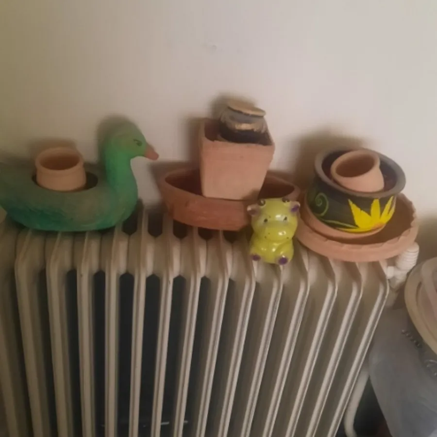 سبد های میوه وتزینی