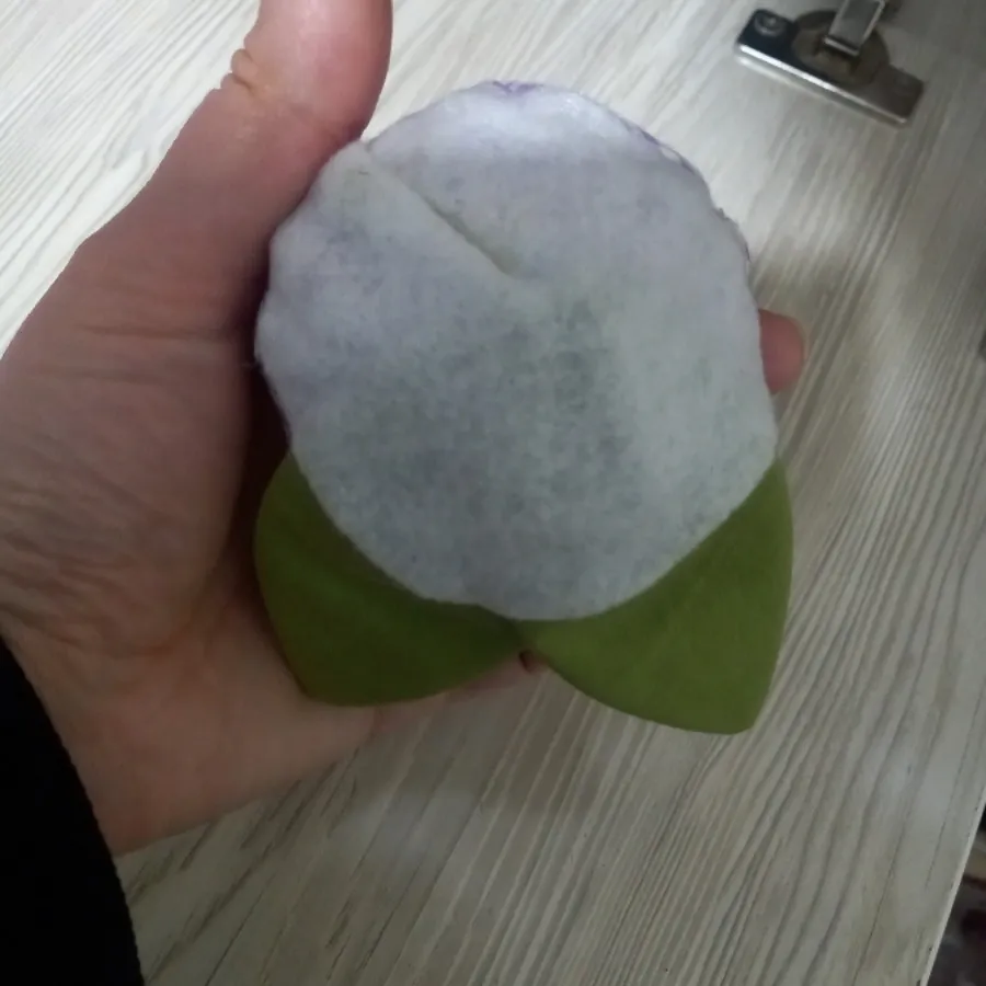 جاسوزنی گل و کدو