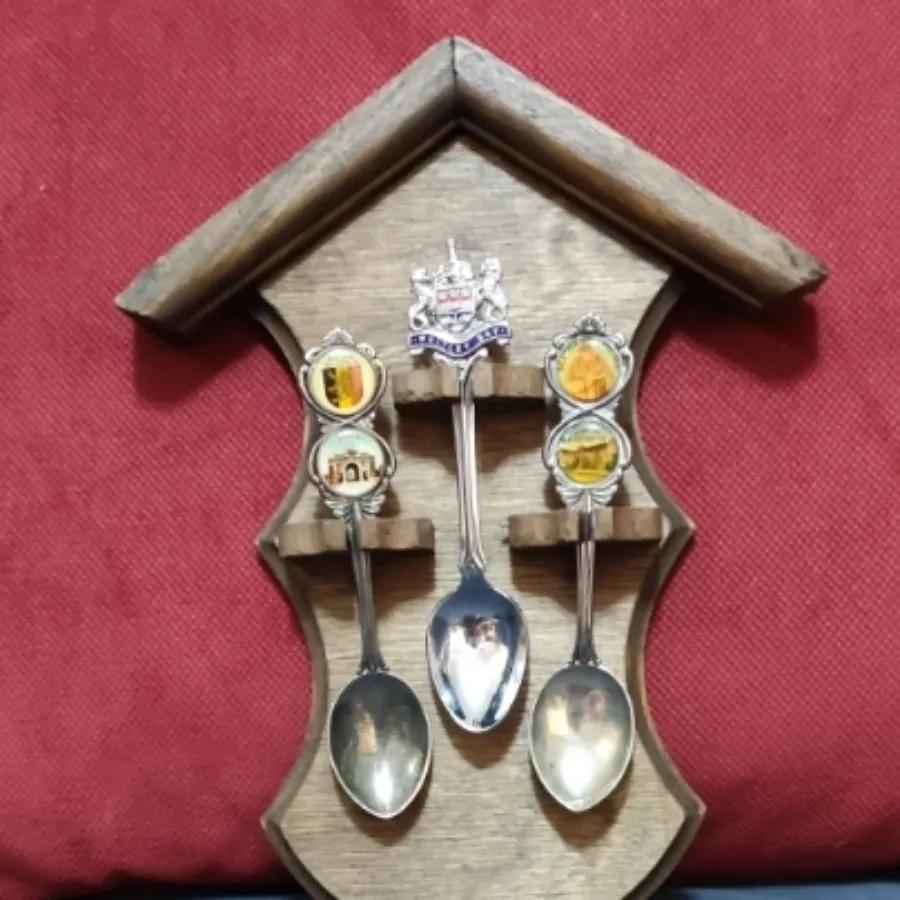 قاشق اروپایی پلاکدار