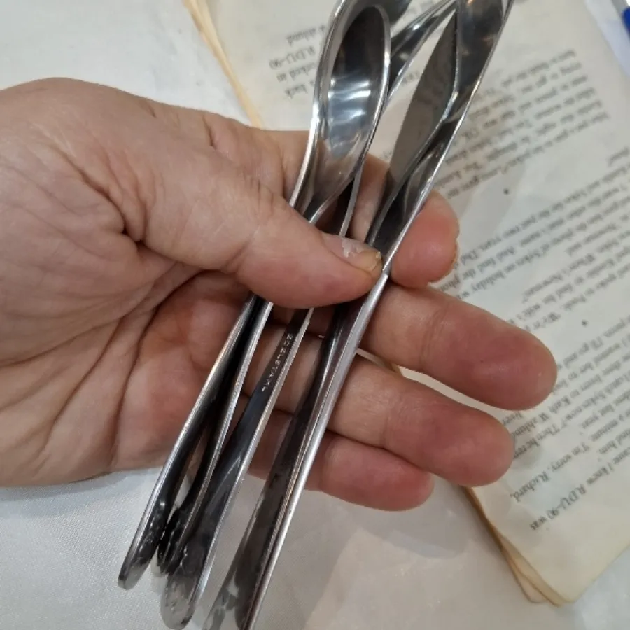 دسر خوری خرسی