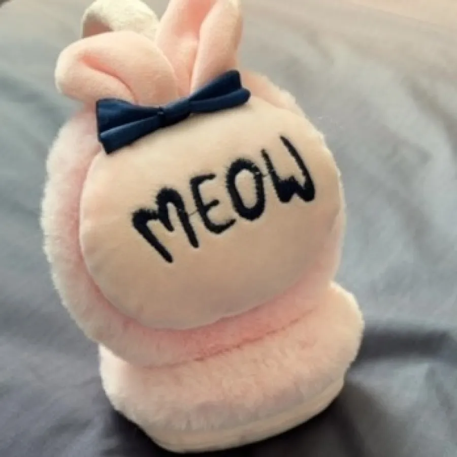 گوش گیر زمستانی