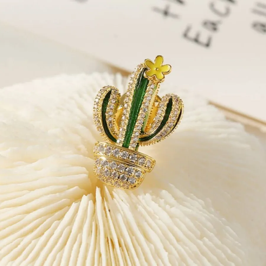 گل سینه کاکتوس وارداتی