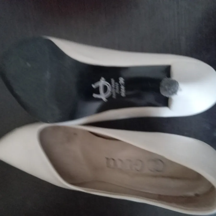 کفش مجلسی گوجی