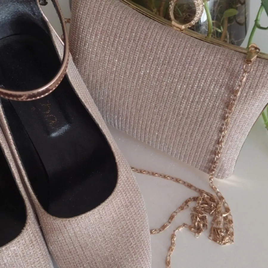 کیف کفش مجلسی شاین