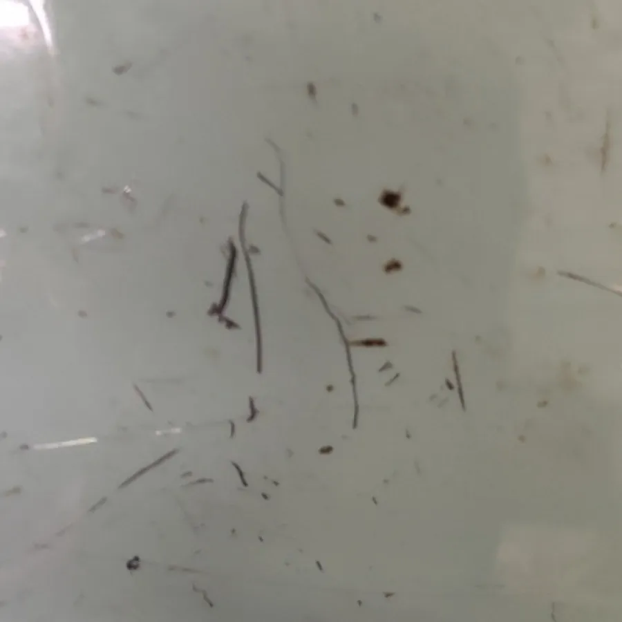 سینی فلزی قدیمی انگلیسی