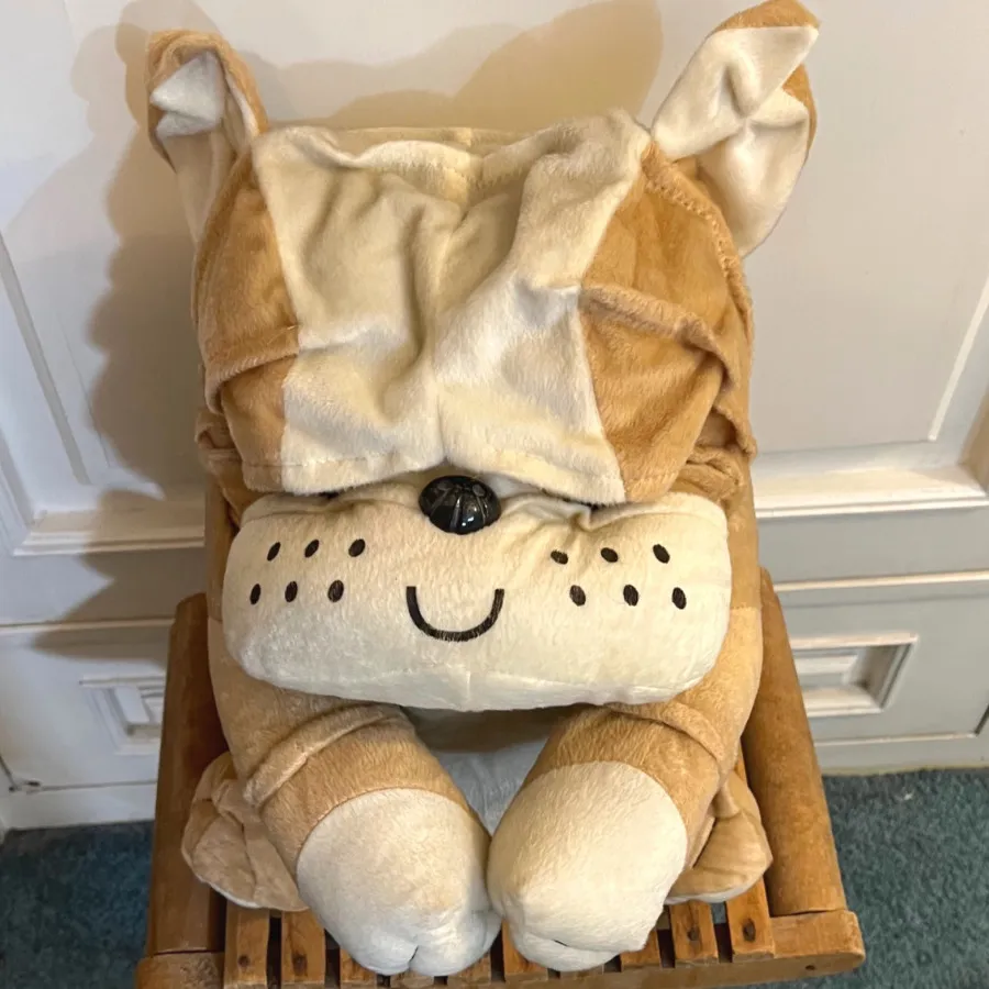 سطل نظم دهنده عروسکی