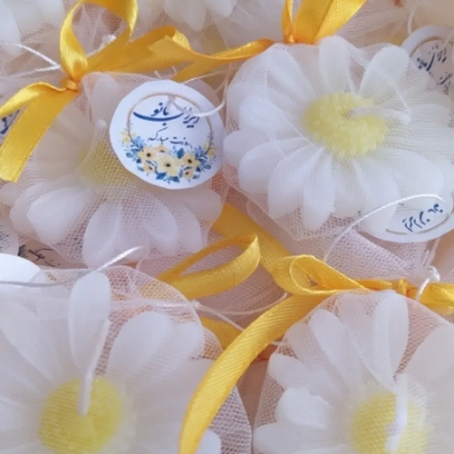 20تا شمع بابونه