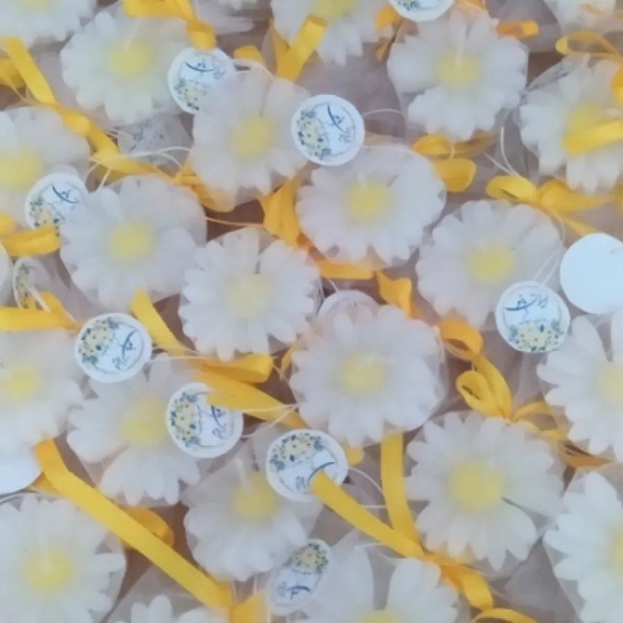 20تا شمع بابونه